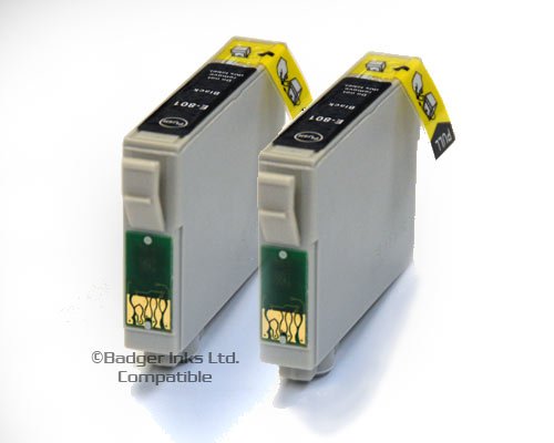 E-791 / TO791 / T0791 x2 Black Compatible Ink 