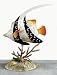 Longfin Tropical Fish Accent Light LP15333