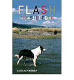 Flash the sheep dog