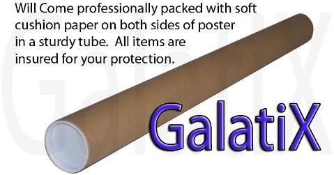 Silver Linings Playbook Movie Poster 24x36 inch Bradley Cooper, Jennifer Lawrence Gloss Print 107