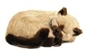 Perfect Petzzz Breathing Cat Pet Tan Siamese Red Tote Bed NEW!