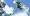 Shaun White Snowboarding