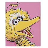 Sesame Street Big Bird Stretched Canvas Print