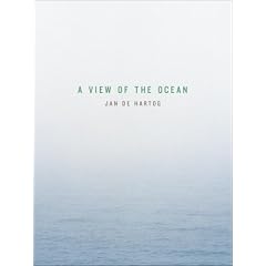 A View of the Ocean