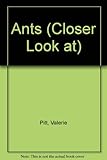 A closer look at ants