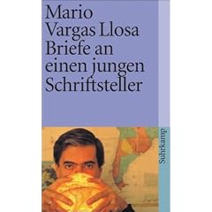 Briefe an einen jungen Schriftsteller: Wie man Romane schreibt (suhrkamp taschenbuch)