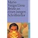 Briefe an einen jungen Schriftsteller: Wie man Romane schreibt (suhrkamp taschenbuch)