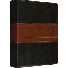 ESV Study Bible (TruTone, Forest/Tan, Trail Design
