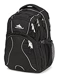 High Sierra Swerve Backpack