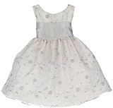 New Silver Petite Flower Embroidered Organza Dress ~ Flower Girl Sz 6M to 24M