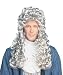 French Aristocrat (Grey) Wigs Costume Accessory