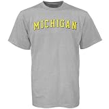 Michigan Wolverines Ash Arched T-shirt