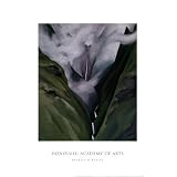 Waterfall No. 3, 'Iao Valley Scenic Art Poster Print by Georgia O'keeffe, 24x36