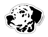 ������᥷�����DOG FACE���ƥå���/�ɿ�ù�