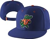 Florida Gators 47 Brand Vintage Oath MVP Royal Snap back Hat