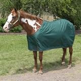Kensington All Around 420 Denier Stable Sheet 84In