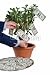 Wallmonkeys Peel and Stick Wall Decals - Earning Profit - Removable Graphic