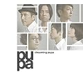 dreaming pupa