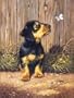 Royal Brush Junior Small Paint By Number Kit 8 3/4" X 11 3/4" Dachshund Puppy PJS51; 3 Items/Order