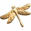 The Dragonfly Brooch