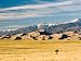 Highest Dunes In North America Push Against The Sangre De Cristo Mountains, Colorado Photographic Poster Print By Michael S. Lewis, 16x12