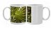Photo Mugs of ROG-12095 Leaf of cabbage palm from Ardea Wildlife Pets