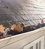 Gutter Dogs
