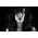 Vignette de Kate Voegele