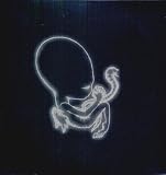 Agaetis Byrjun [12 inch Analog]