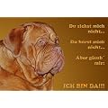Metall - Warnschild Bordeauxdogge
