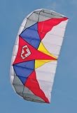 Mighty Bug 1.0 Dual line Airfoil Stunt Kite