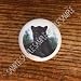 BIG CATS BLACK PANTHER #02 DRAWER PULLS KNOBS