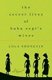 The Secret Lives of Baba Segis Wives: A Novel