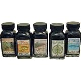 Noodler's Ink lubricating Cactus Fruit Bottled Ink Refill