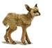Hansa Tibetan Deer (Bushback Kid) Stuffed Plush Animal, Standing - Small