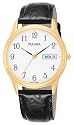 Pulsar Men's Watch #PXN080