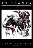 In Flames Come Clarity Cloth Fabric Poster Flag