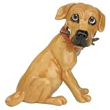 Pets With Personality - Ollie The Yellow Labrador