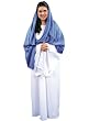 Marry Deluxe Adult Costume Dress Size 8-12