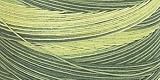 Coats & Clark Star Hand Quilting Thread Variegated