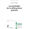 La sociologie de la d�linquance juv�nile