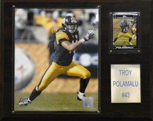 Pittsburgh Steelers Troy Polamalu 12