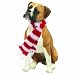 Sandicast Ornament - Boxer, UC, Fawn