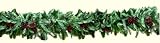 National Tree Company LBG-50-9A 9 Foot x 10 Inch Geneva Blue Cedar Garland with Cones and Berries