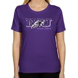 NCAA Niagara Purple Eagles Ladies Distressed Primary Classic Fit T-Shirt - Purple