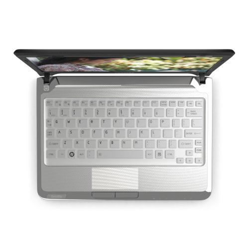 Toshiba Satellite T215D-S1150 TruBrite 11.6-Inch Used Price