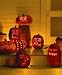 Martha Stewart Collection Pumpkin Carving Kit