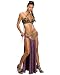 Apparel : Star Wars Princess Leia Slave Adult Costume