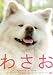 わさお [DVD]