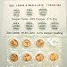 1982 U.S. Lincoln Cent / Penny 7 Variety Coin Set